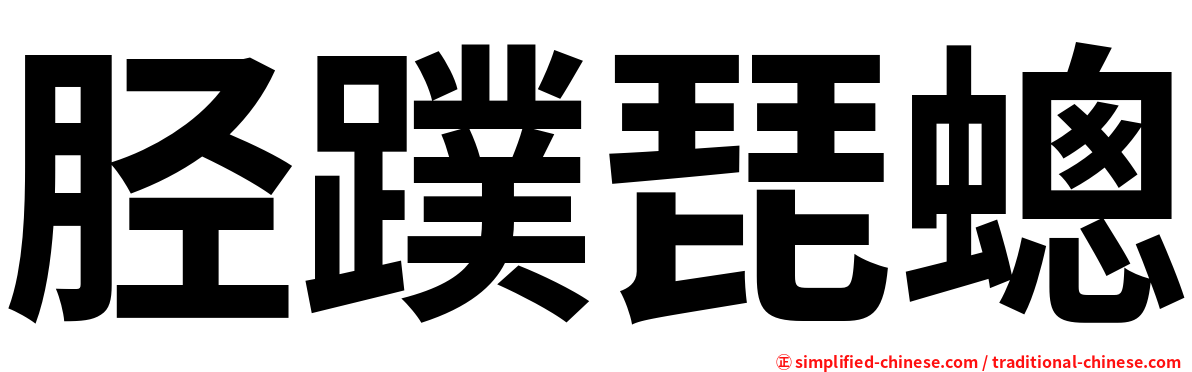 胫蹼琵蟌