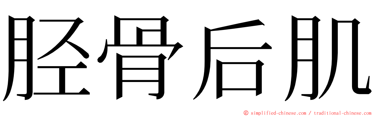 胫骨后肌 ming font