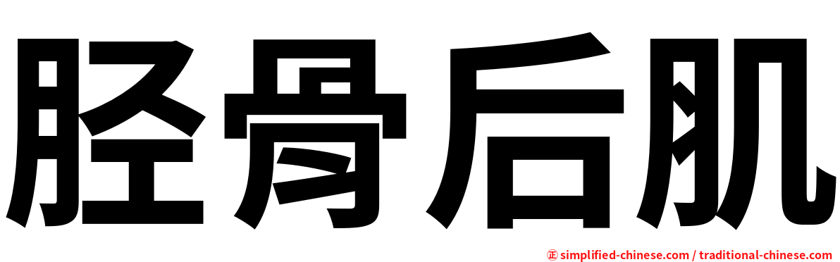 胫骨后肌