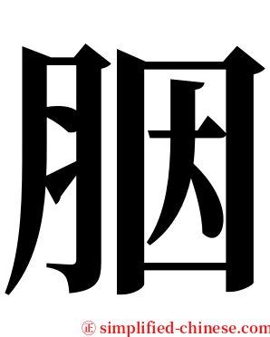 胭 serif font