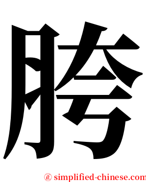 胯 serif font