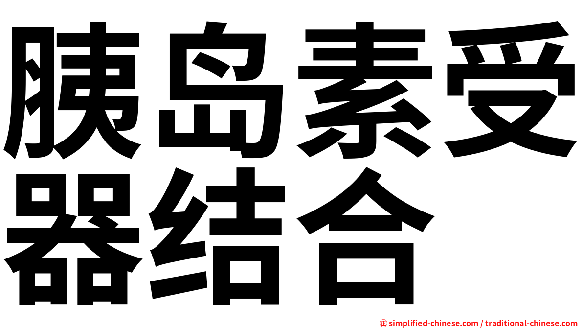 胰岛素受器结合