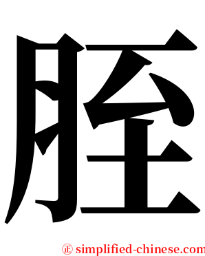 胵 serif font