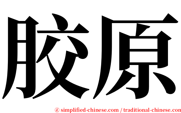 胶原 serif font