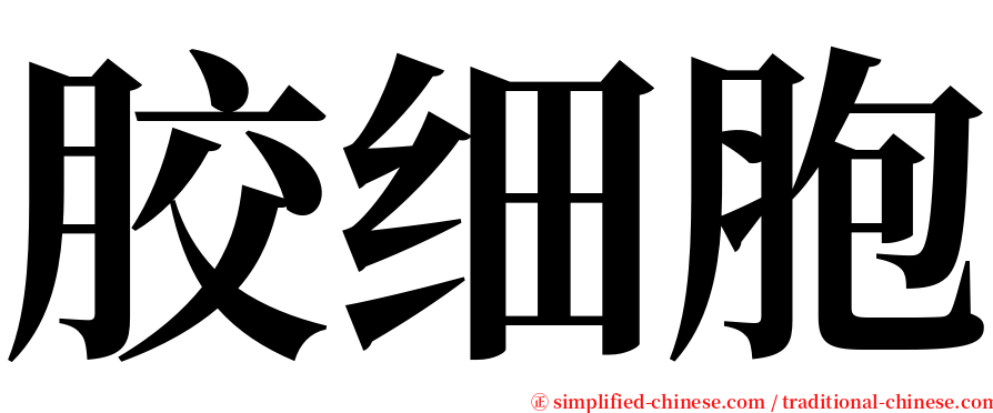 胶细胞 serif font