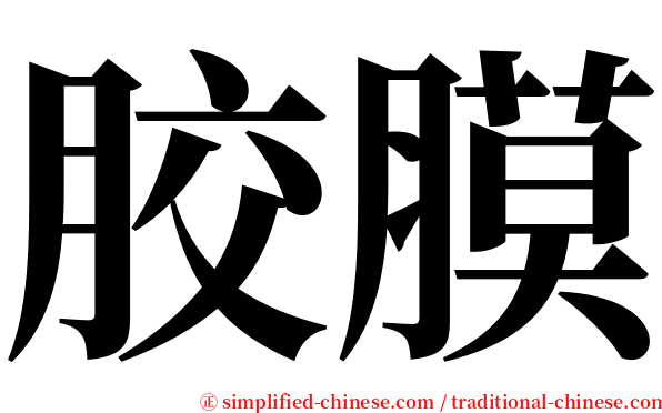 胶膜 serif font