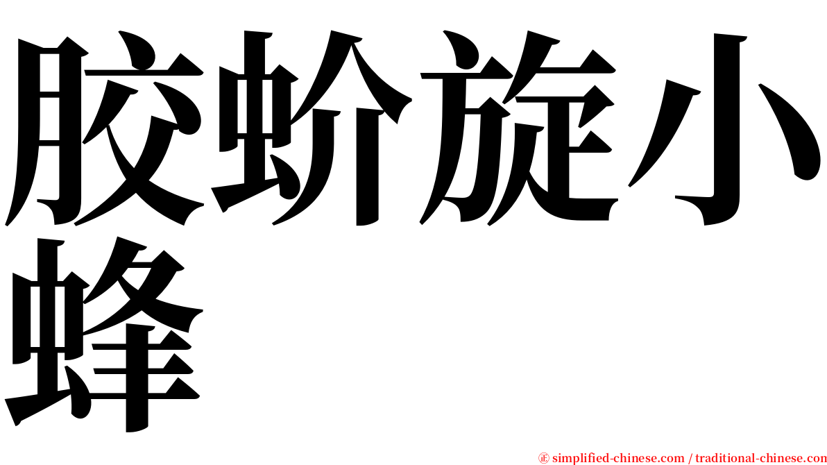 胶蚧旋小蜂 serif font
