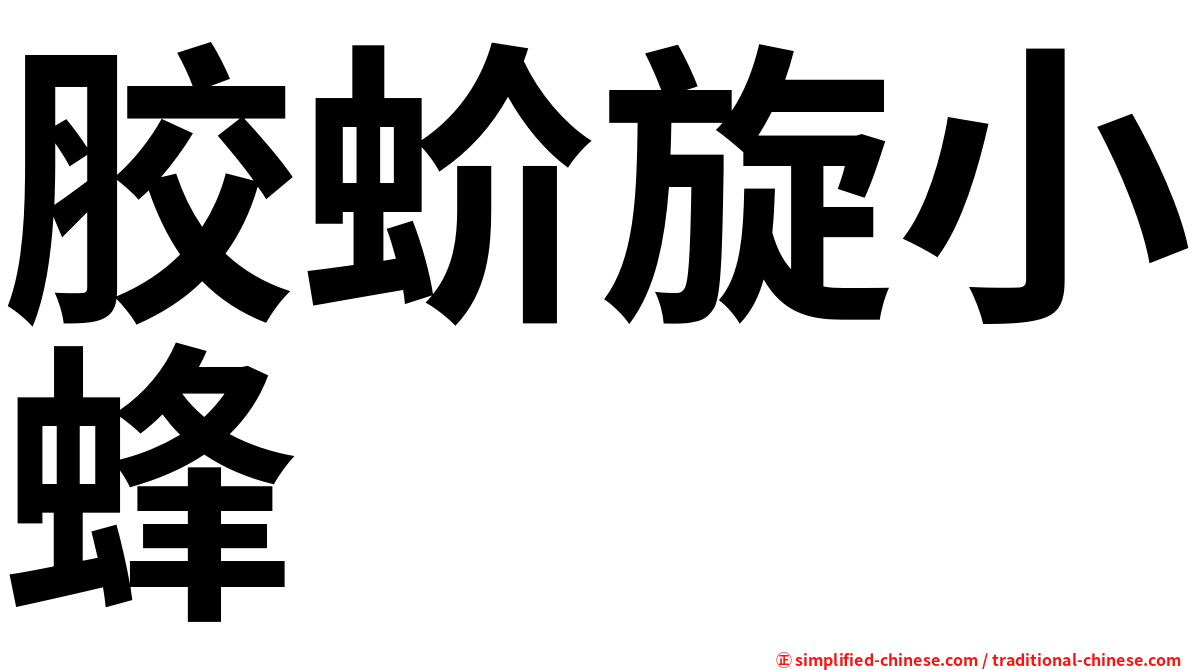 胶蚧旋小蜂