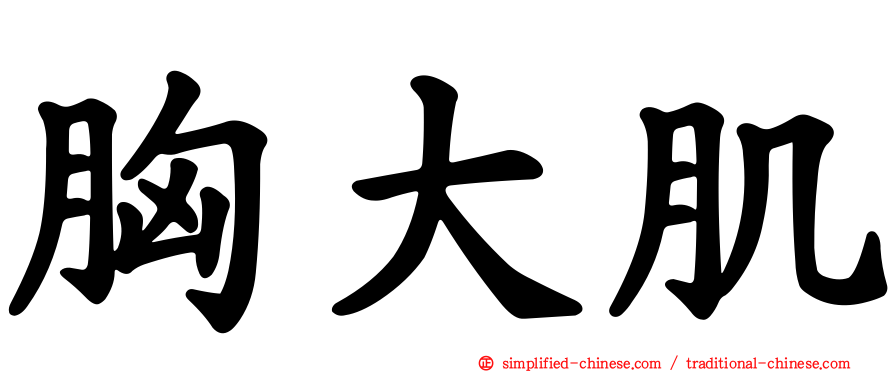 胸大肌