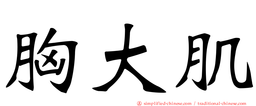 胸大肌