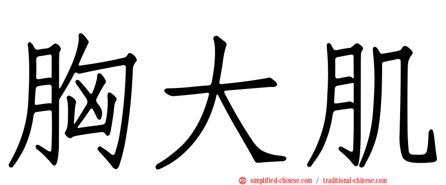 胸大肌