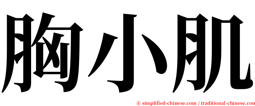 胸小肌 serif font