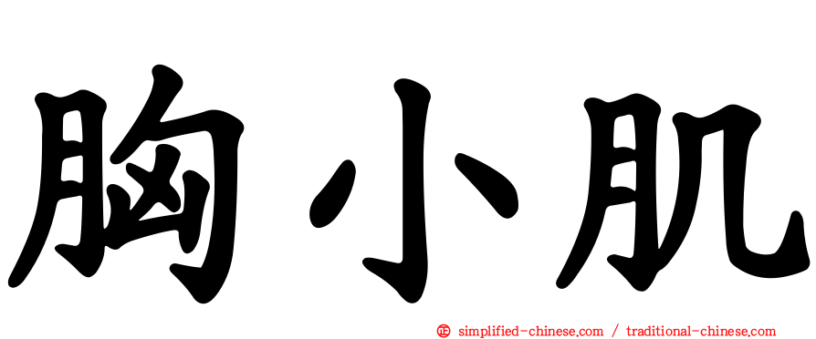 胸小肌