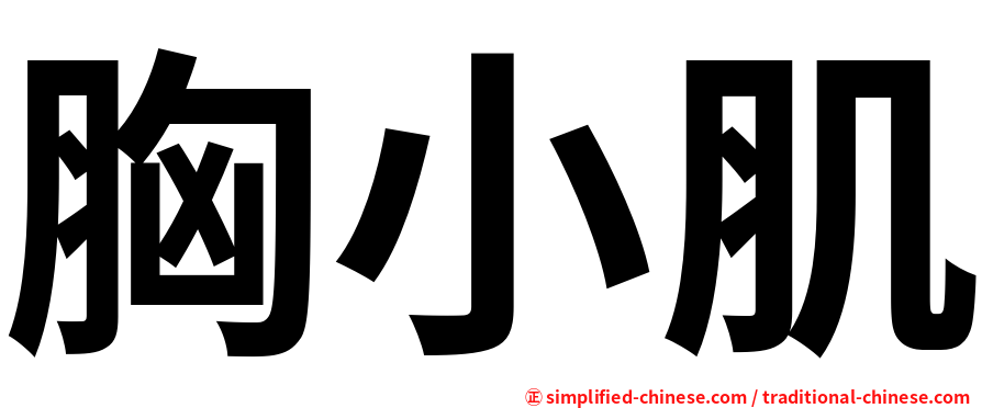 胸小肌