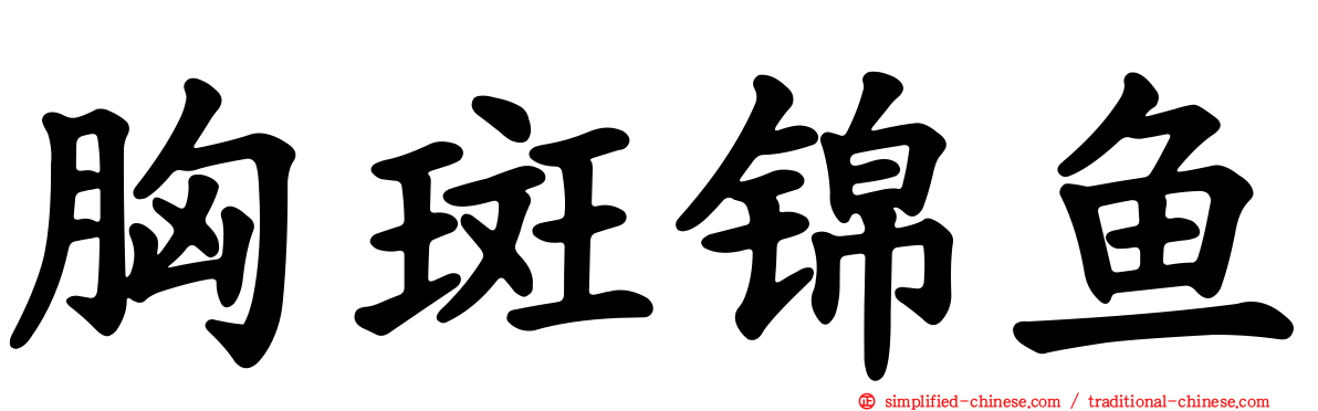 胸斑锦鱼