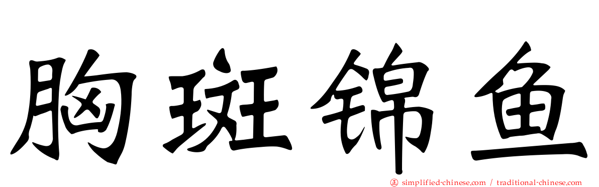 胸斑锦鱼