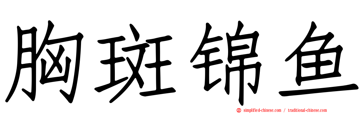 胸斑锦鱼