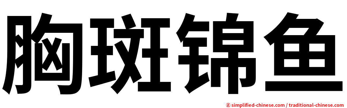 胸斑锦鱼