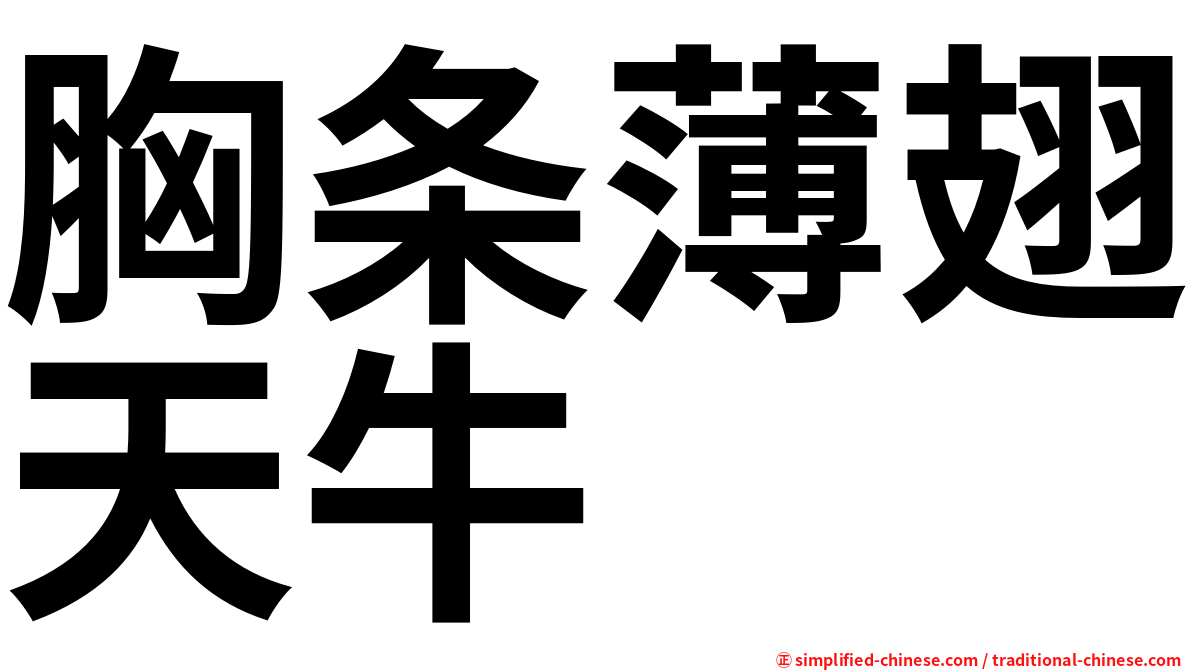 胸条薄翅天牛