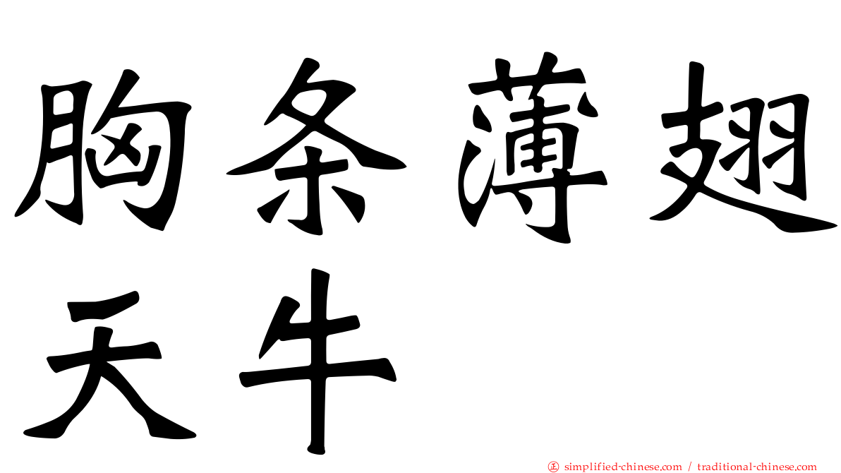 胸条薄翅天牛