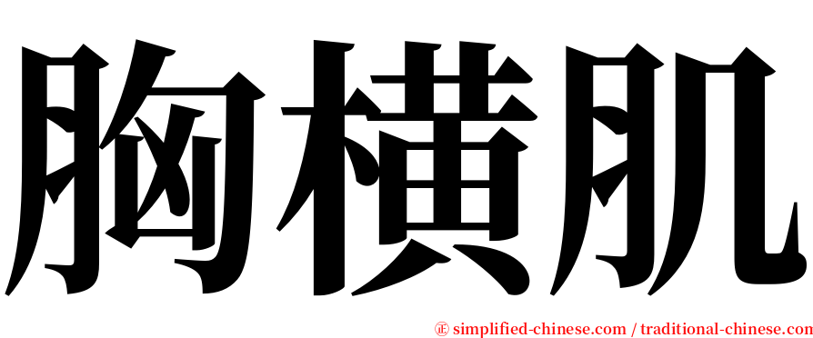 胸横肌 serif font