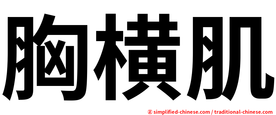 胸横肌