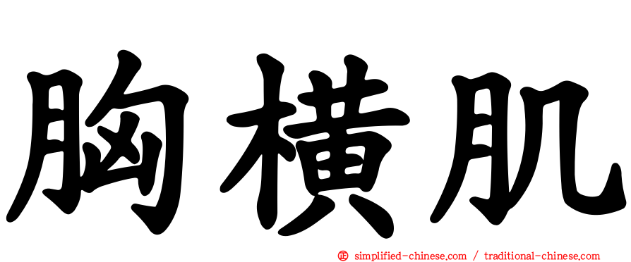 胸横肌