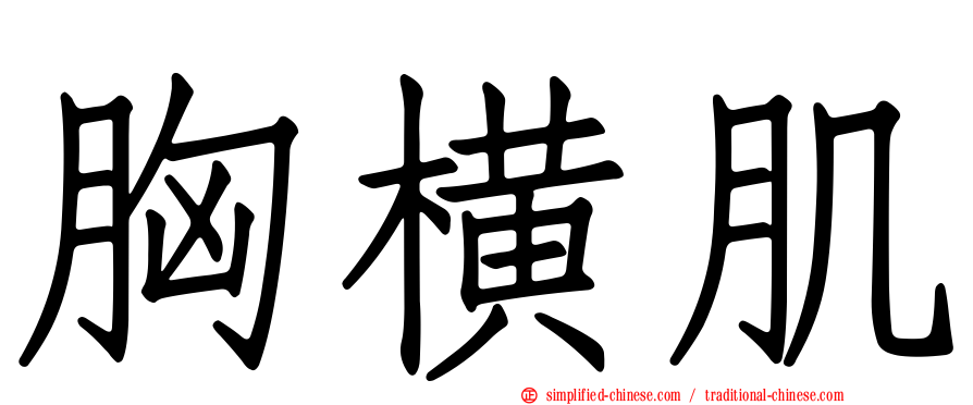 胸横肌