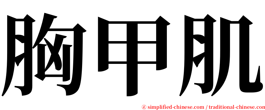 胸甲肌 serif font