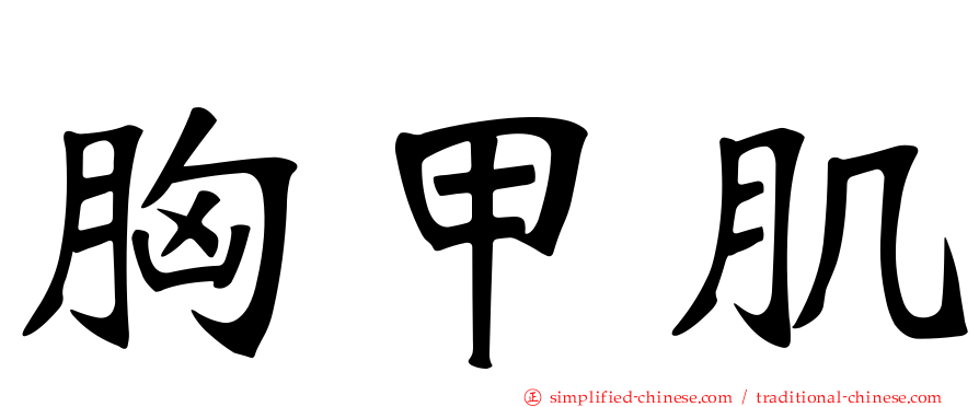 胸甲肌