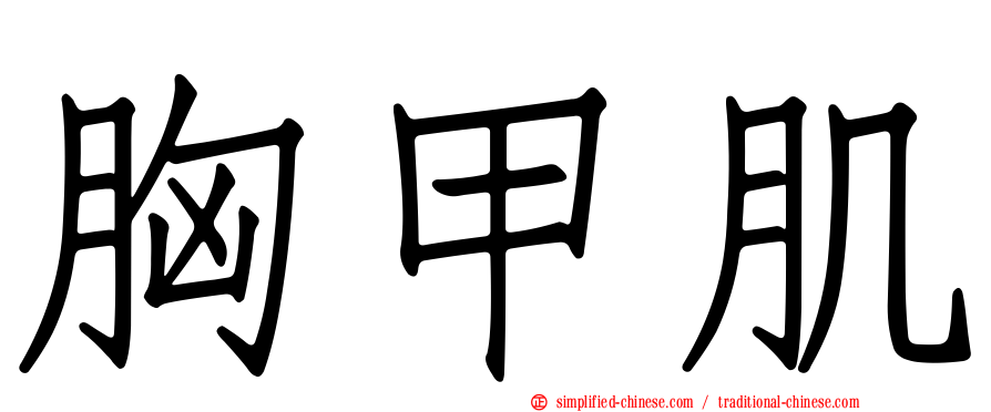 胸甲肌