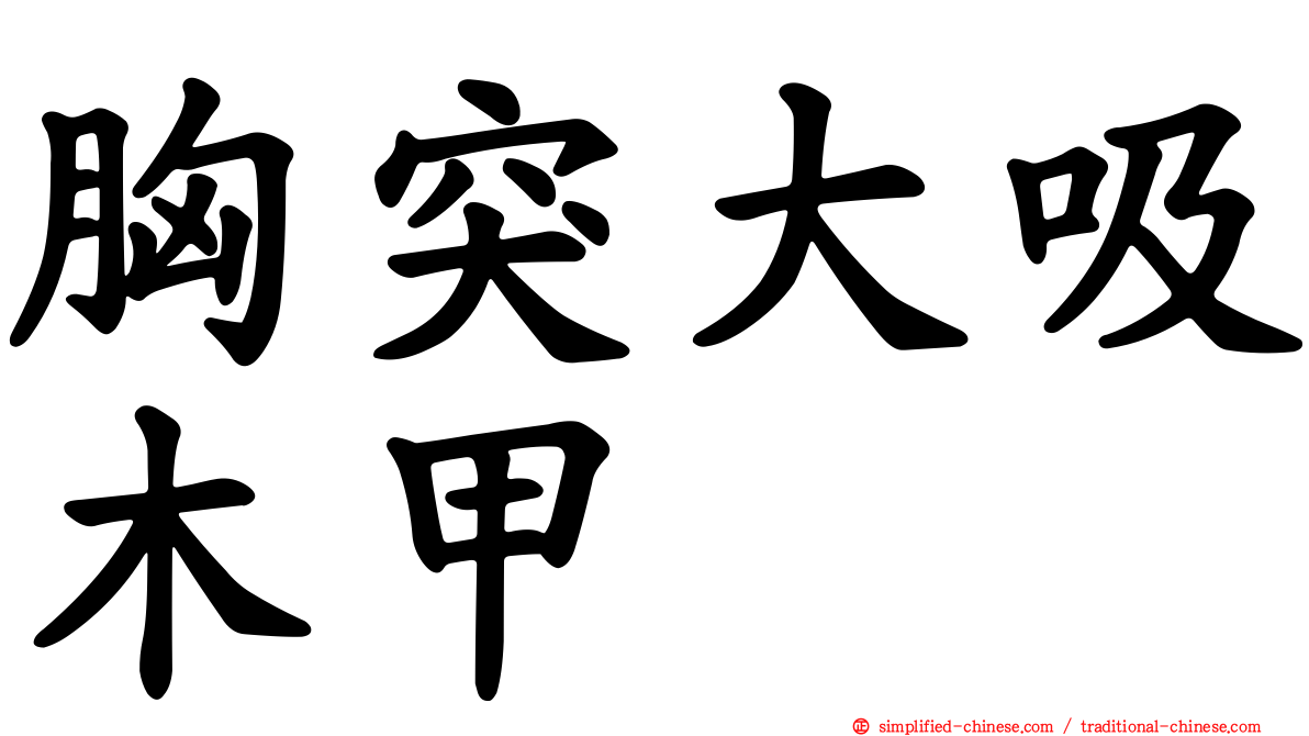 胸突大吸木甲