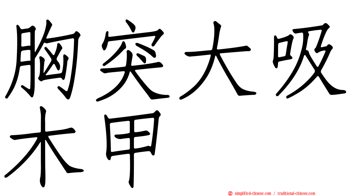 胸突大吸木甲