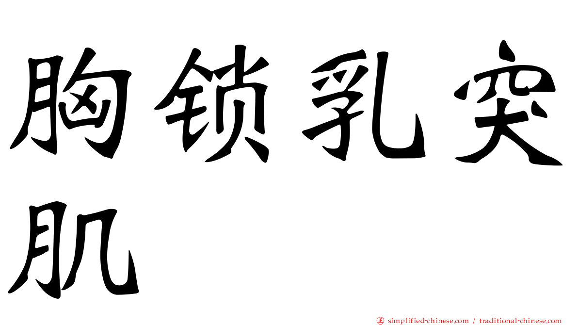 胸锁乳突肌