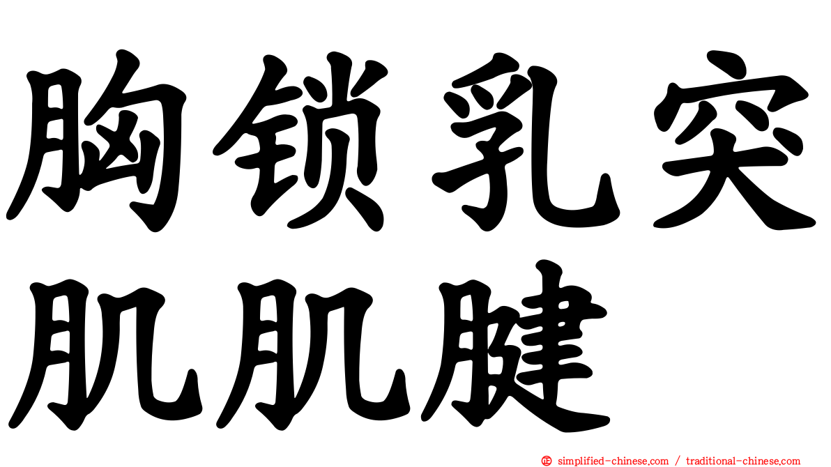胸锁乳突肌肌腱