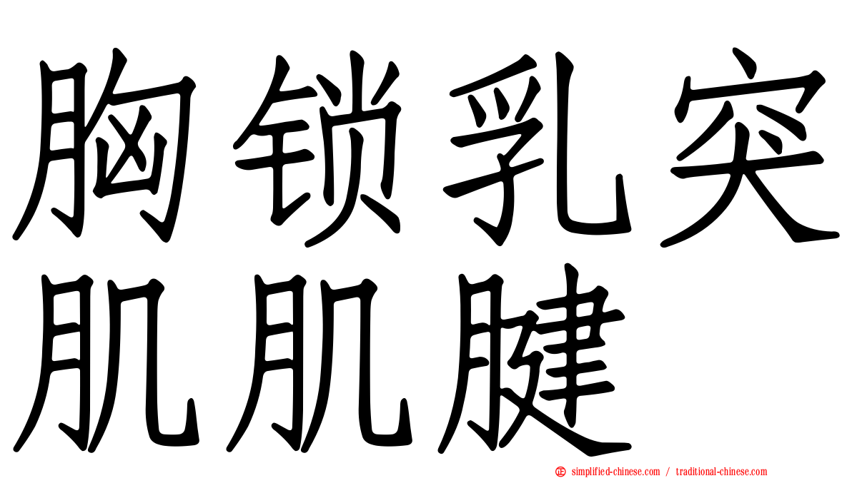 胸锁乳突肌肌腱