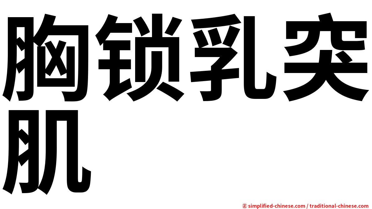 胸锁乳突肌