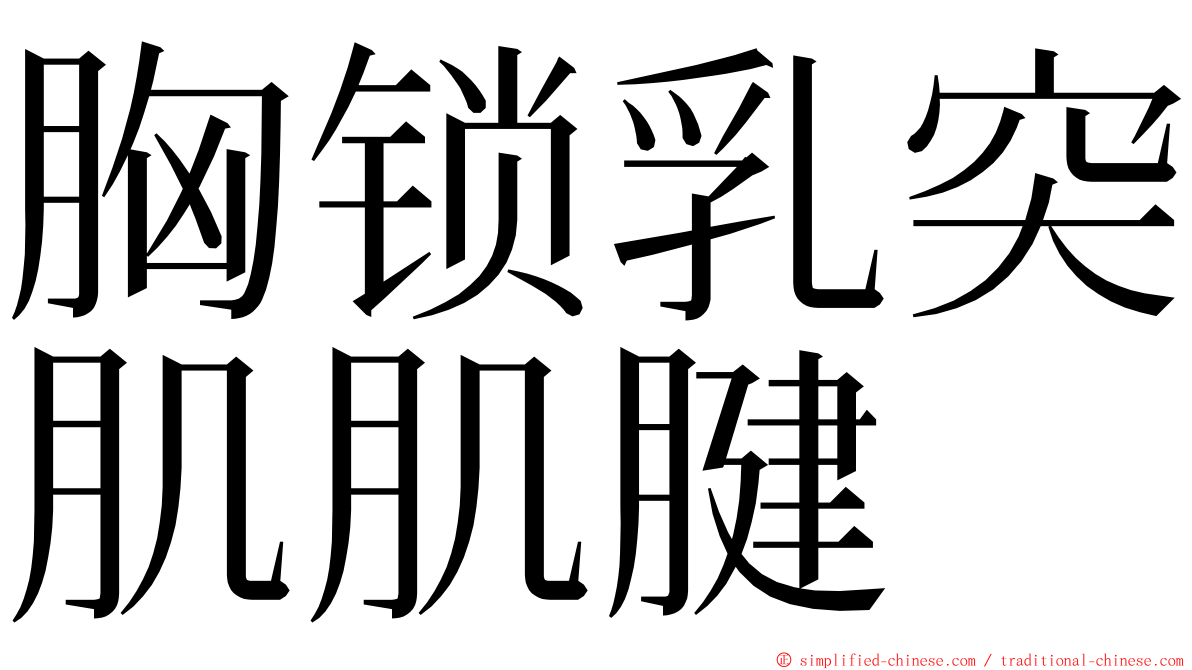 胸锁乳突肌肌腱 ming font