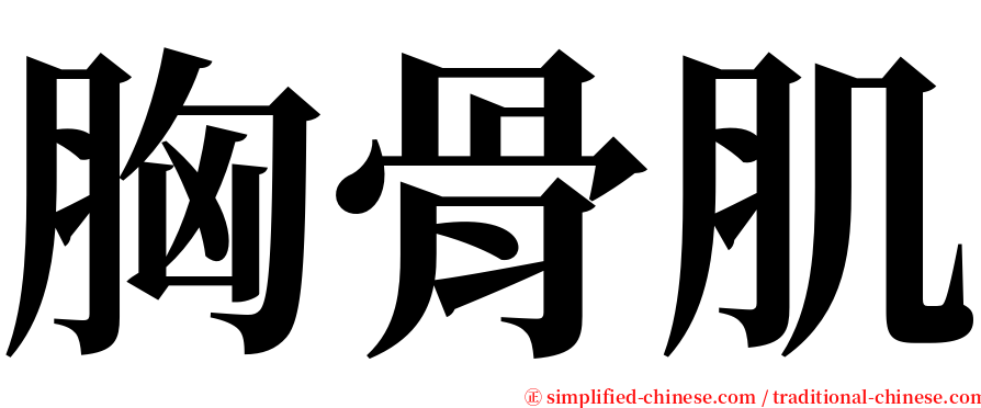 胸骨肌 serif font