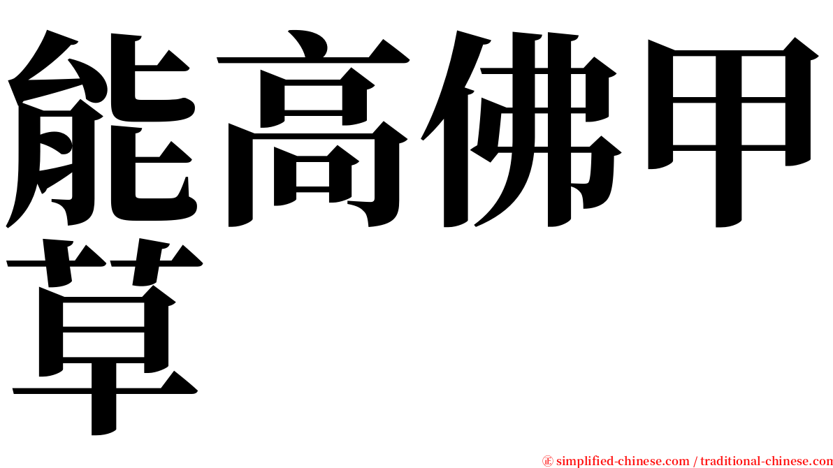能高佛甲草 serif font