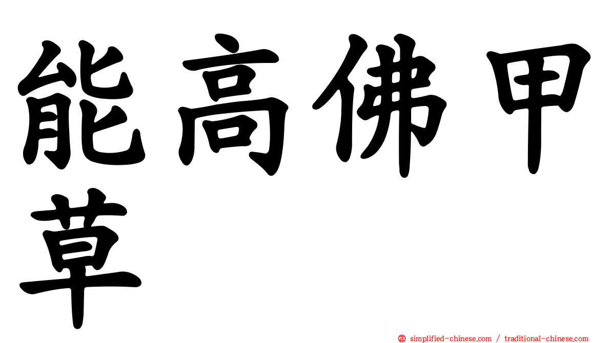 能高佛甲草