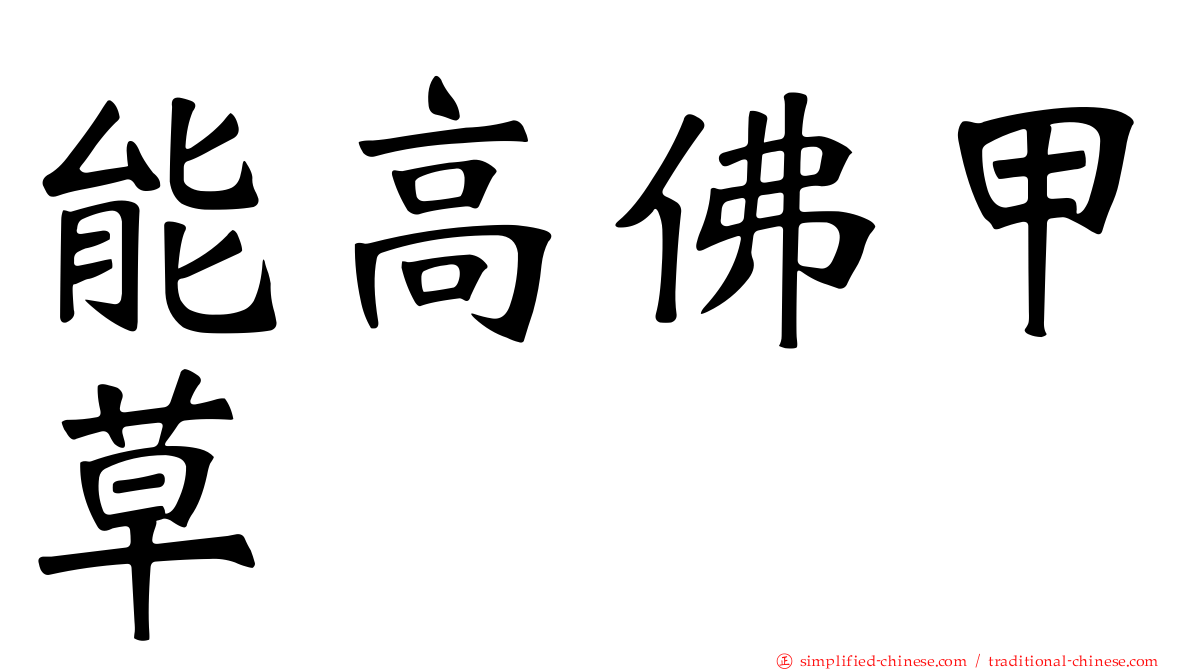 能高佛甲草