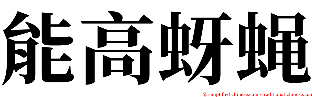 能高蚜蝇 serif font