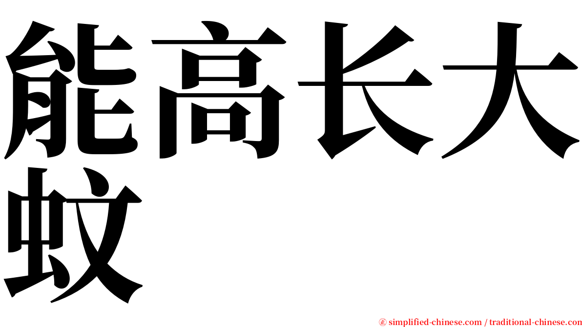 能高长大蚊 serif font