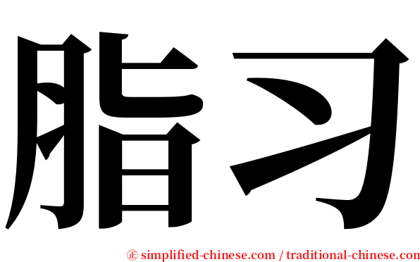 脂习 serif font