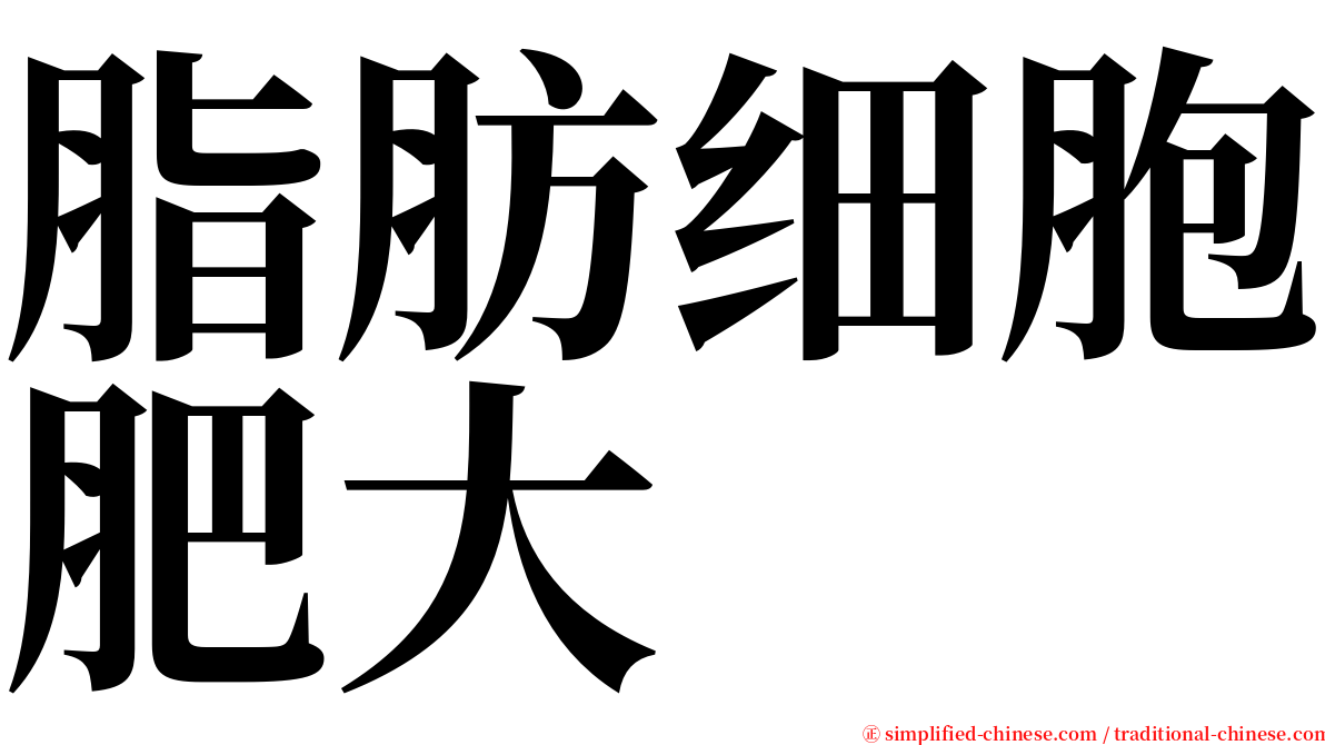 脂肪细胞肥大 serif font