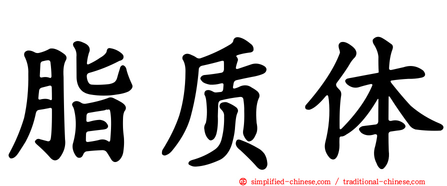 脂质体