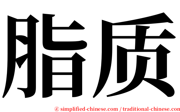 脂质 serif font