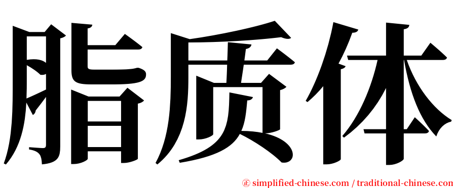 脂质体 serif font