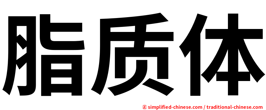 脂质体